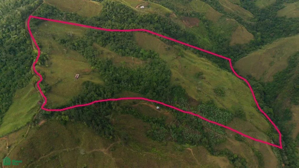 74.25 ACRES – ¡Una exclusiva finca a orillas del río con manantiales cristalinos!!! — photo 3