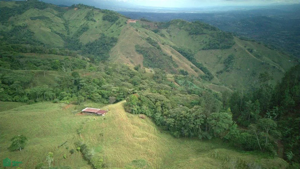 74.25 ACRES – ¡Una exclusiva finca a orillas del río con manantiales cristalinos!!! — photo 4