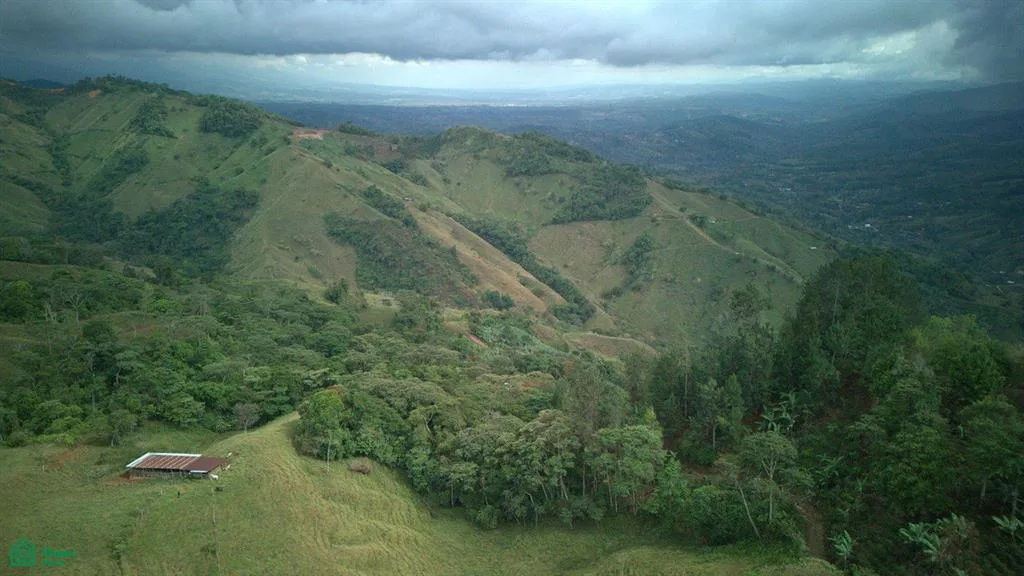 74.25 ACRES – ¡Una exclusiva finca a orillas del río con manantiales cristalinos!!! — photo 5