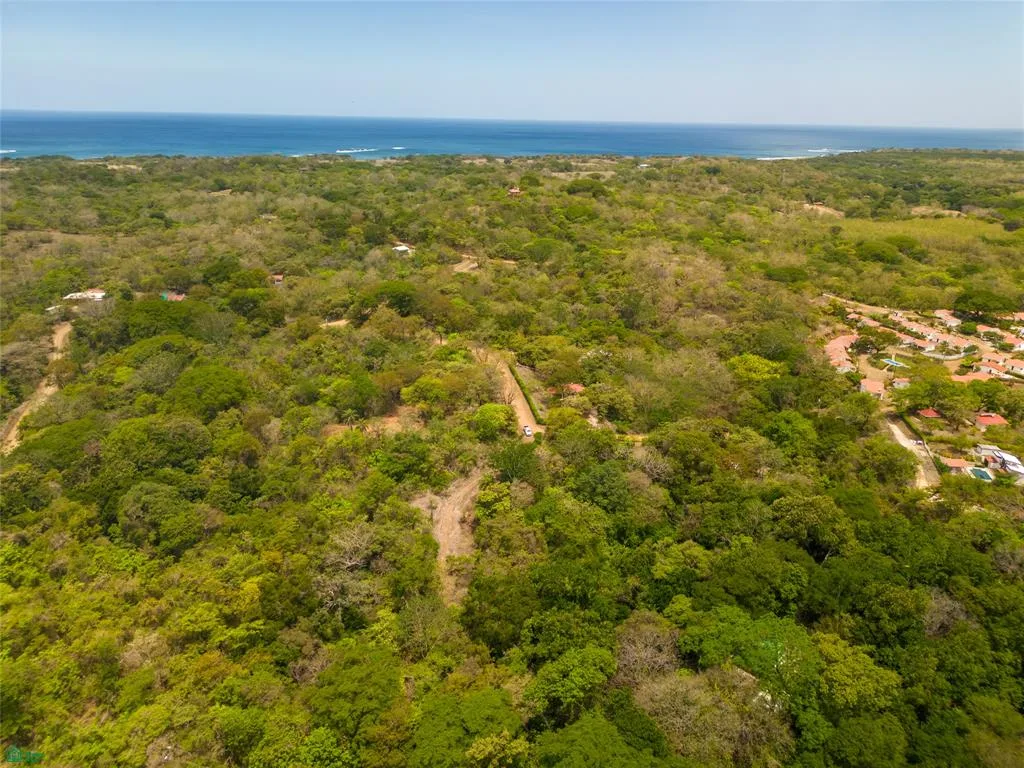 Lote 121 en Eo Development, Playa Lagarto – Exclusiva Oportunidad de Inversión de 5,000 m²