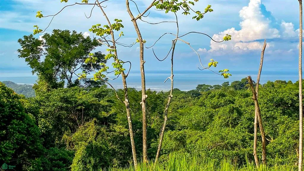 Lotes de 0.4 acres con vista al océano y a la montaña en Ojochal | Comunidad cerrada