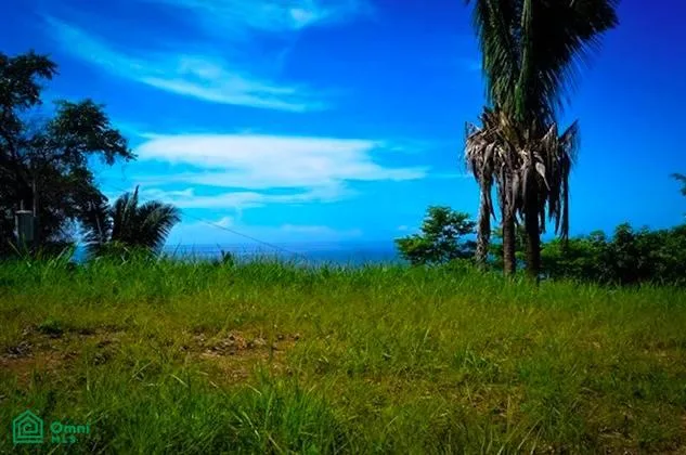 Propiedades Exclusivas en Montaña con Vistas al Océano