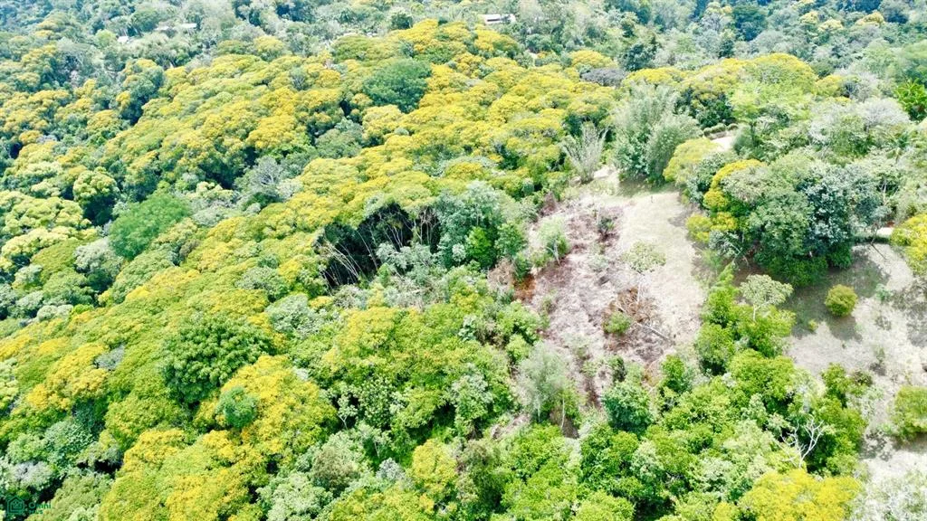 4.2 ACRES – Terreno con vistas al mar, con acceso al río, a una carretera pública!