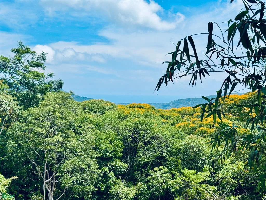 4.2 ACRES – Terreno con vistas al mar, con acceso al río, a una carretera pública! — photo 2