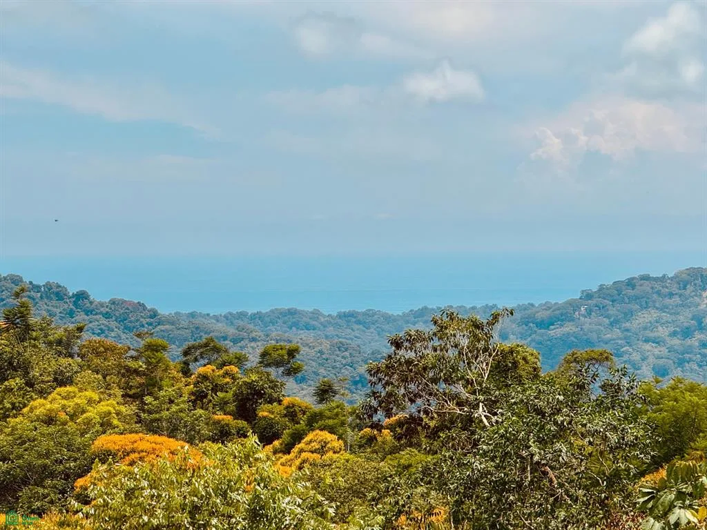 4.2 ACRES – Terreno con vistas al mar, con acceso al río, a una carretera pública! — photo 3