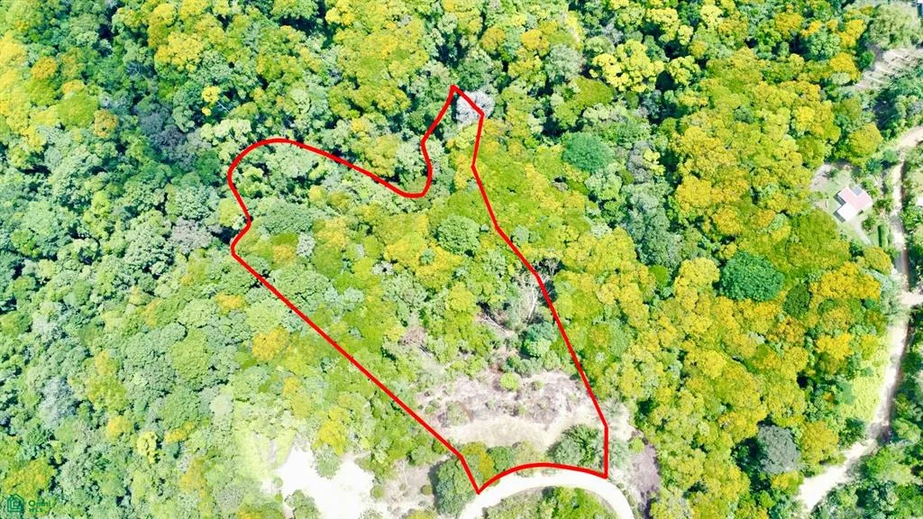 4.2 ACRES – Terreno con vistas al mar, con acceso al río, a una carretera pública! — photo 4