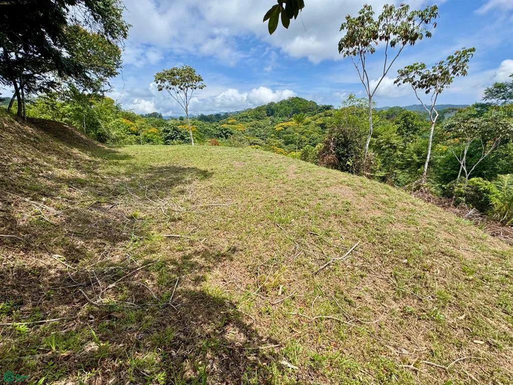 4.2 ACRES – Terreno con vistas al mar, con acceso al río, a una carretera pública! — photo 5