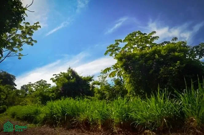 Propiedades Exclusivas en Montaña con Vistas al Océano