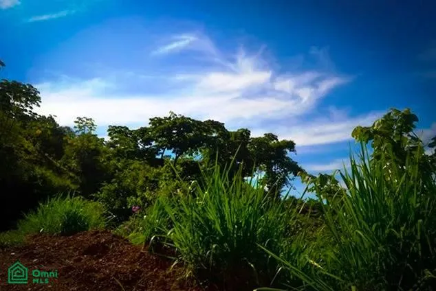 Propiedades Exclusivas en Montaña con Vistas al Océano