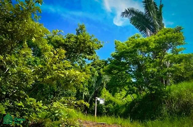 Propiedades Exclusivas en Montaña con Vistas al Océano