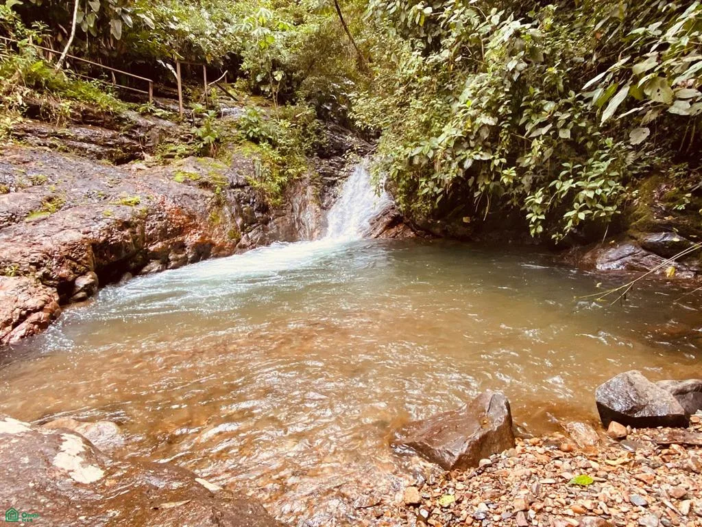 Cacique - La vida en Chirripó, reinventada — photo 4