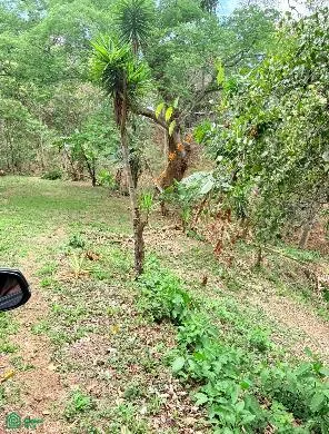 Lote de Desarrollo en Bosques de Mora