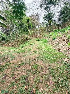 Lote de Desarrollo en Bosques de Mora — photo 2