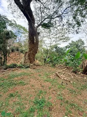 Lote de Desarrollo en Bosques de Mora — photo 3
