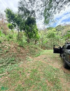 Lote de Desarrollo en Bosques de Mora — photo 4