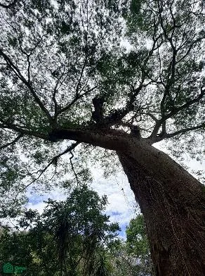 Lote de Desarrollo en Bosques de Mora — photo 5