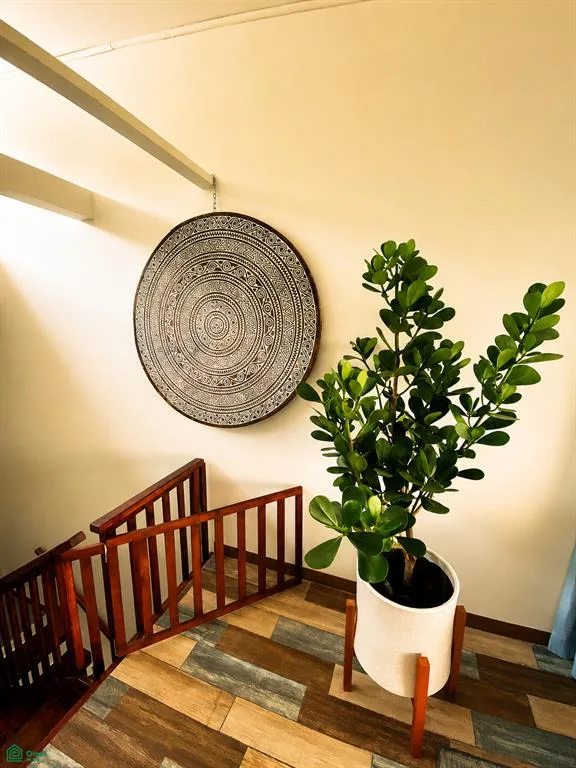 5 Apartamentos en Ciudad Colón Brown & Paleno — photo 5