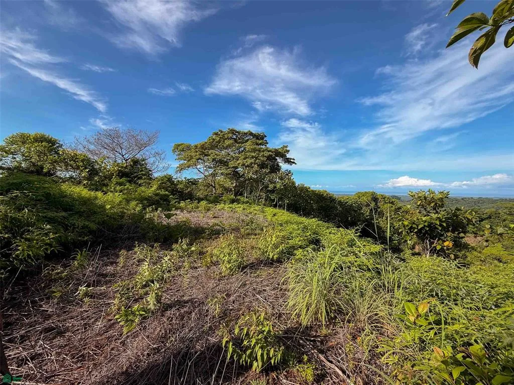Terreno para Desarrollo con Vista al Mar