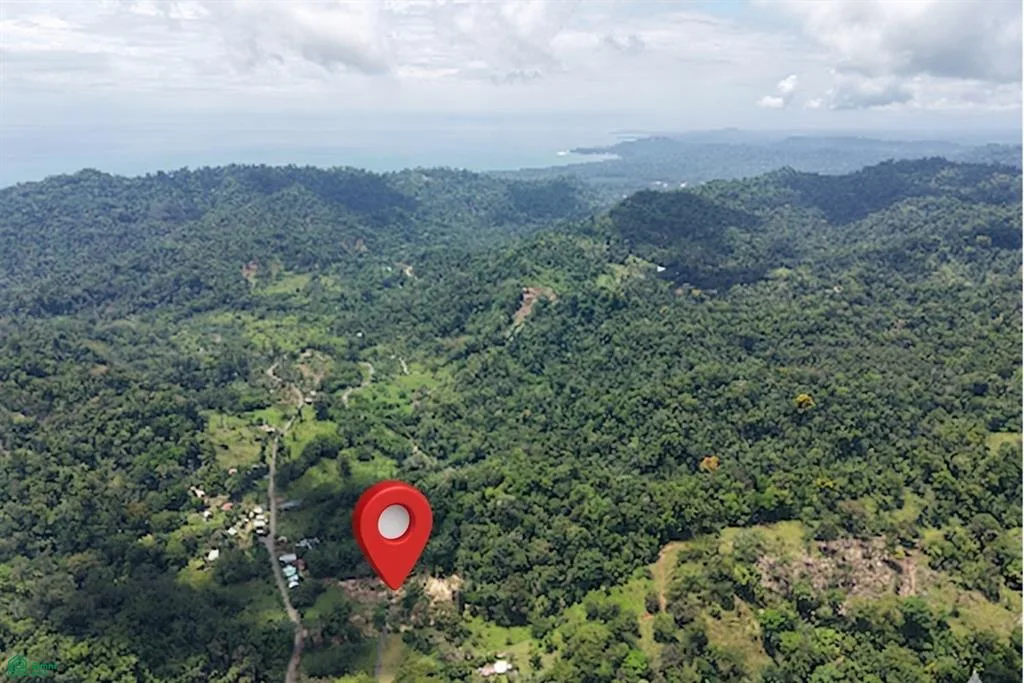 Lote con Riachuelo en Carbón 1 – Oportunidad de Desarrollo en el Caribe Sur de Costa Rica