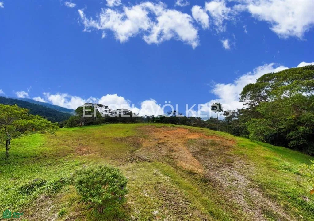 3,2 acres de paraíso panorámico en Santa Elena — photo 2