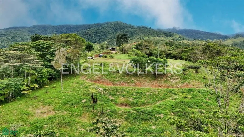 3,2 acres de paraíso panorámico en Santa Elena — photo 3