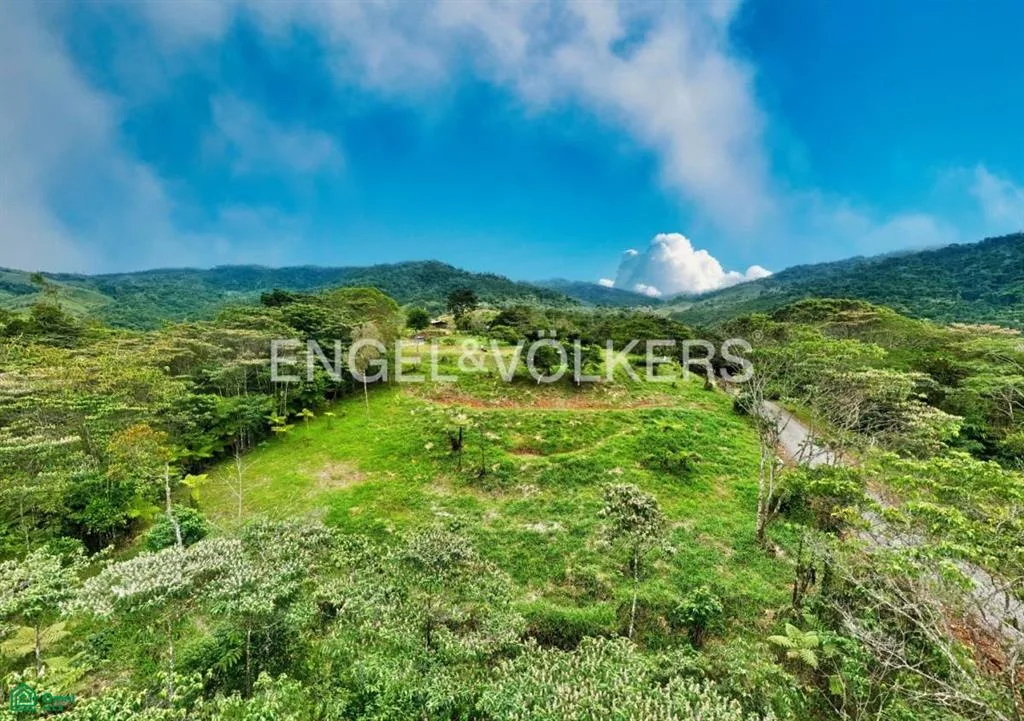 3,2 acres de paraíso panorámico en Santa Elena — photo 4