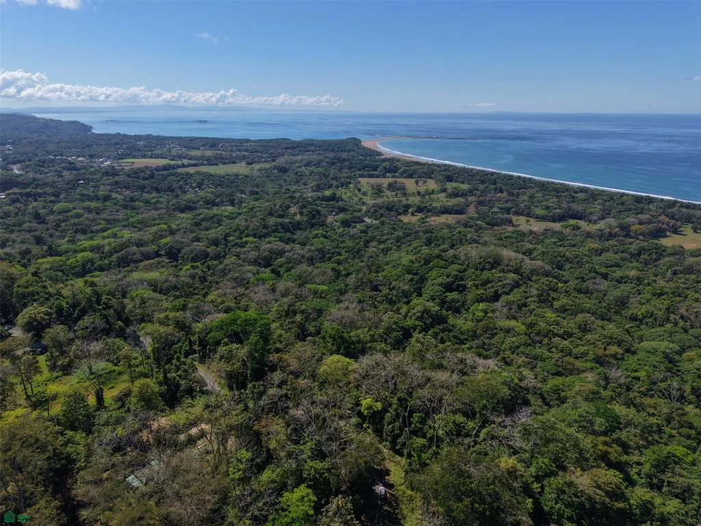 FINCA SAN JOSECITO | Prime 20-Hectare Ocean View Property for Sale in Uvita, Costa Rica