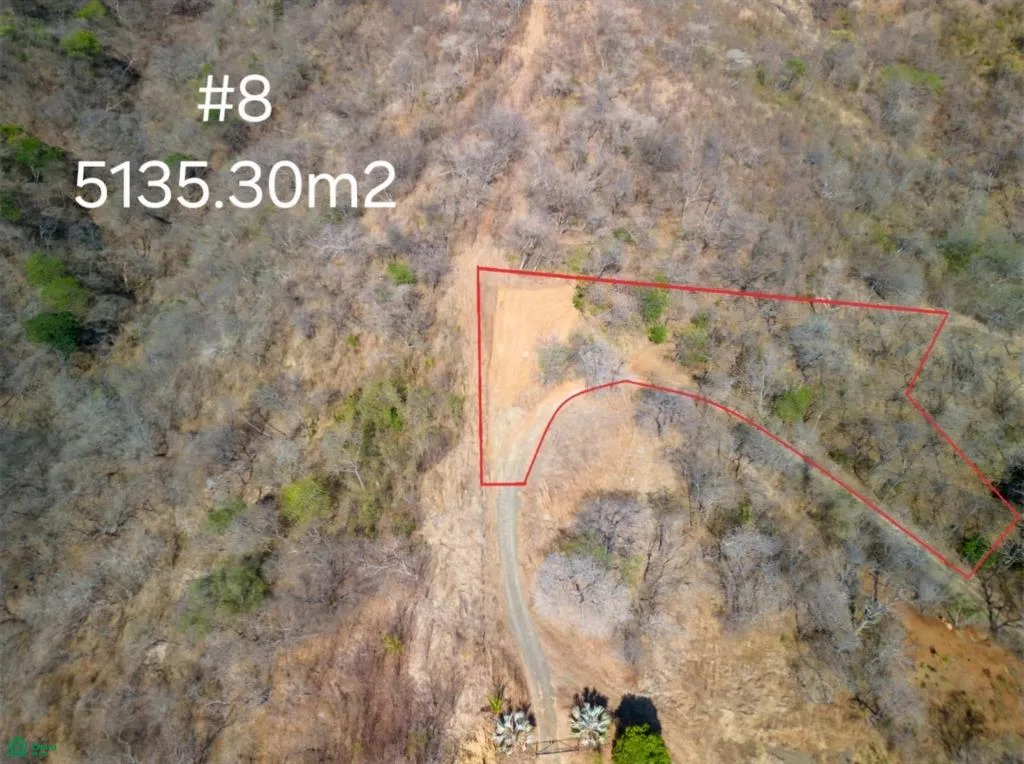 Lote #8: Excelente Oportunidad en la Montaña con Gran Potencial de Inversion en Soncoyo