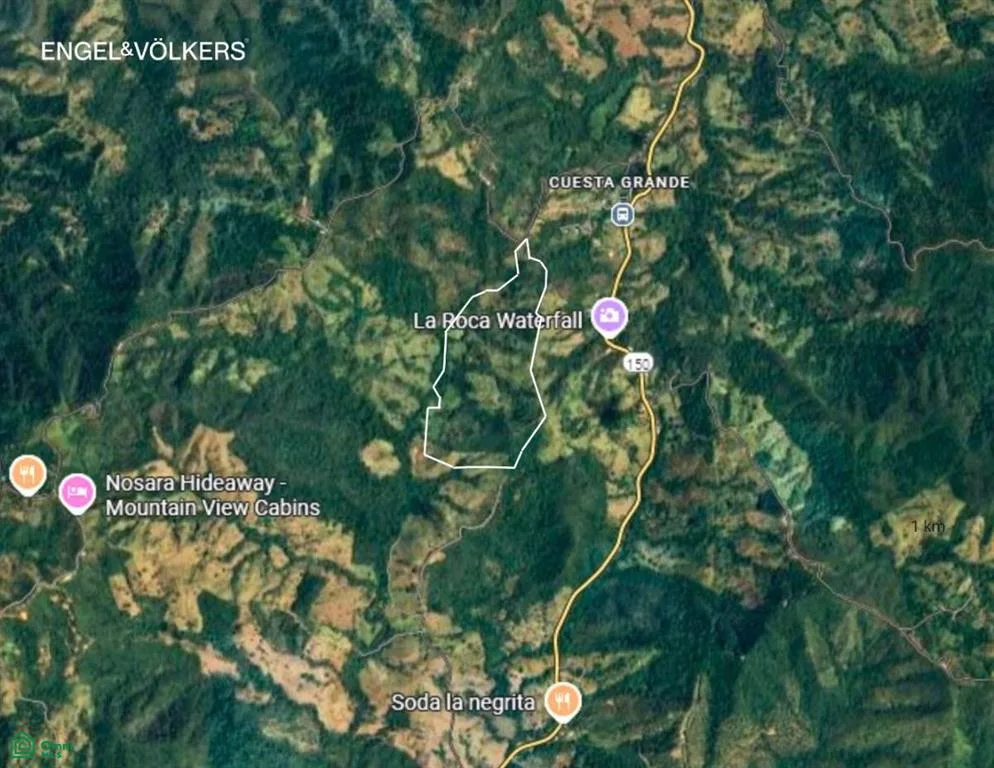 Finca de Prestigio en Cuesta Grande – 60 Ha / Vistas