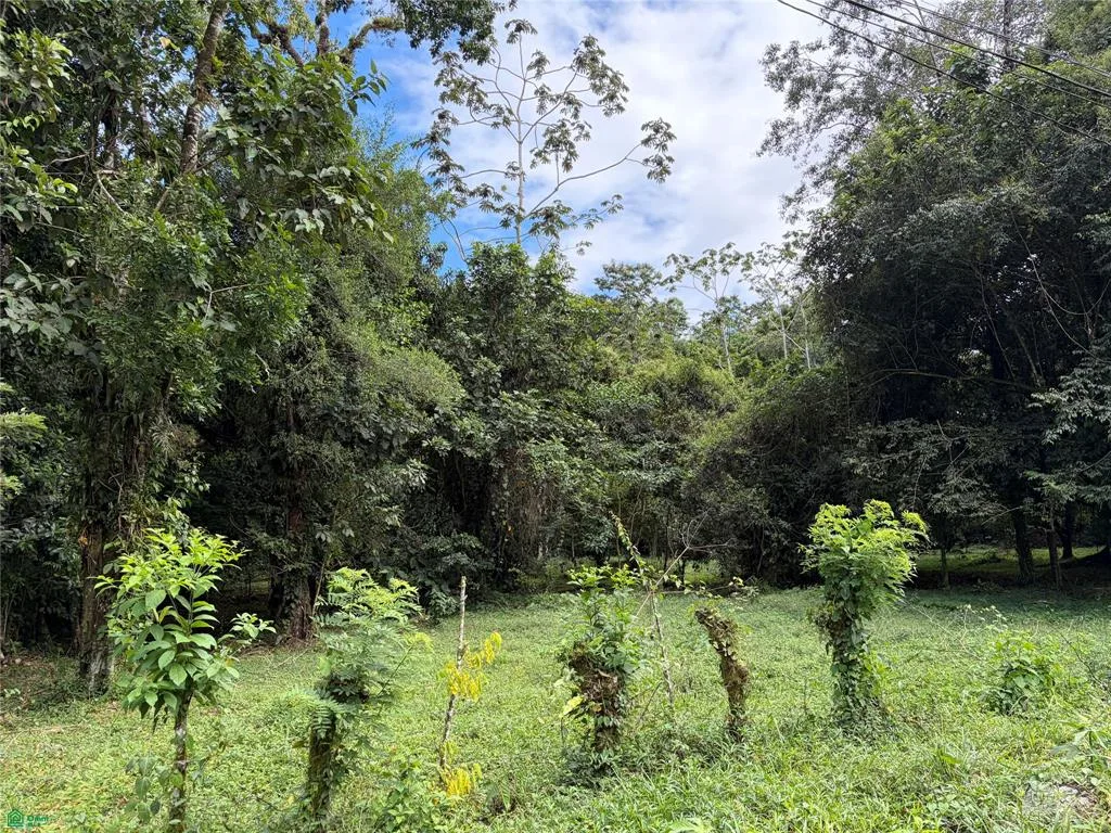 QUINTA CON QUEBRADA Y POTENCIAL DE DESARROLLO | GUÁPILES, LIMÓN, COSTA RICA