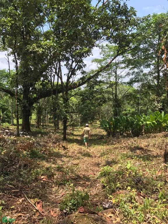 Oportunidad de Inversión con Aguas Termales en Upala, Costa Rica