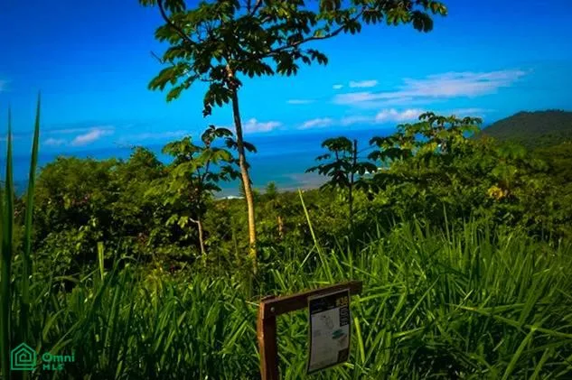 Propiedades Exclusivas en Montaña con Vistas al Océano