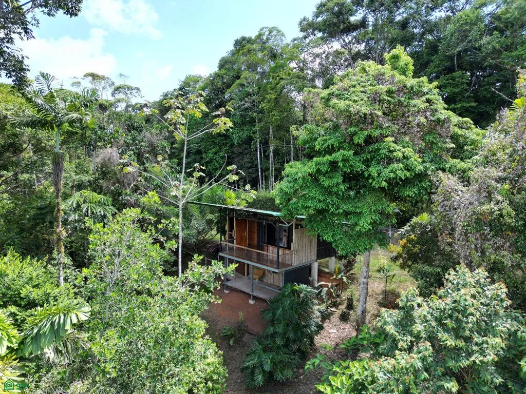2.5 Acres – Propiedad en la Selva con Cabaña de 1 Habitación