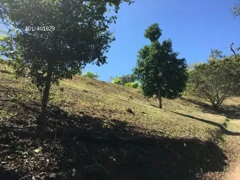 Lot in residential in Turrubares.