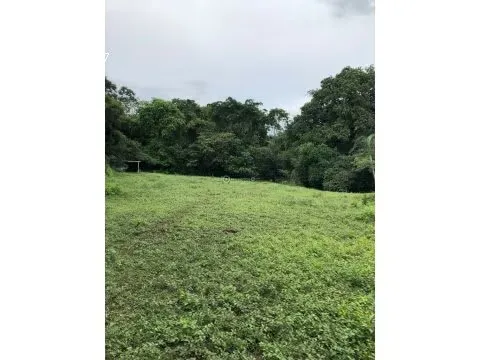 PROPERTY FOR SALE IN LA GUACIMA