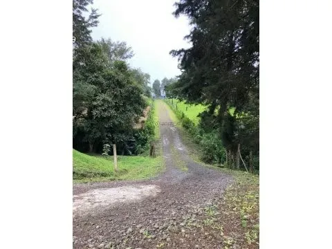 Hermoso lote en medio de la naturaleza en San Isidro Heredia | L171