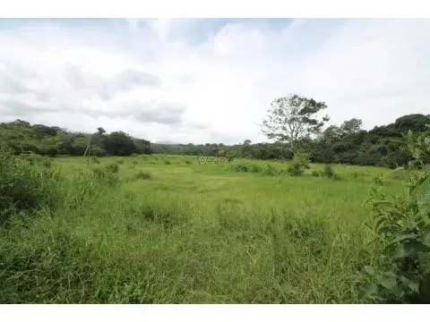 FINCA FOR SALE IN ALAJUELA