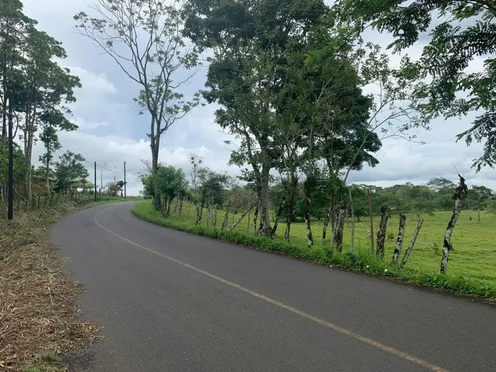 Property in San Carlos in La Palmera, Alajuela province, excellent climate, 4 blocks, (area 28,000 M2), 20 minutes from Ciudad Quesada, 10 minutes from future free ...