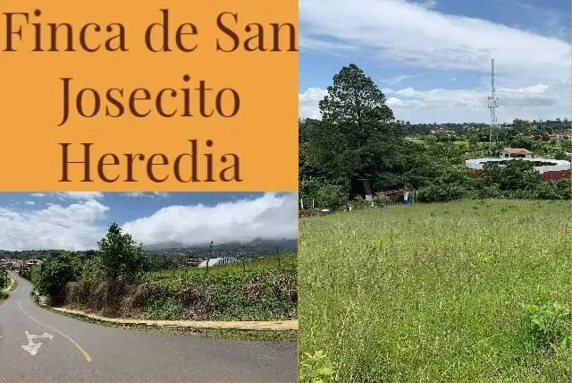 DE  OPORTUNIDAD, VENDE FINCA EN SAN JOSECITO DE SAN ISIDRO DE HEREDIA