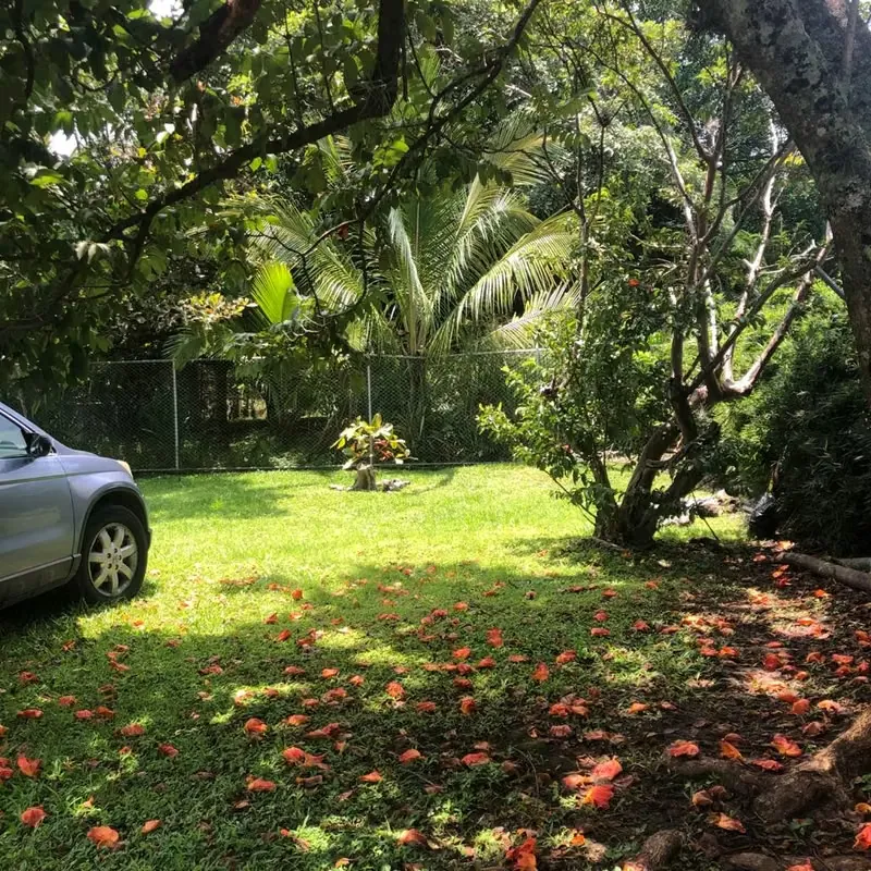 CASA DE UNA PLANTA EN VENTA, PIEDADES DE SANTA ANA.