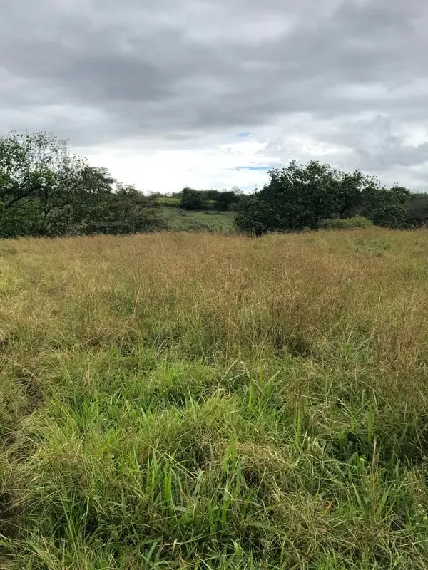 LOT FOR SALE IN GUÁCIMA, ALAJUELA
