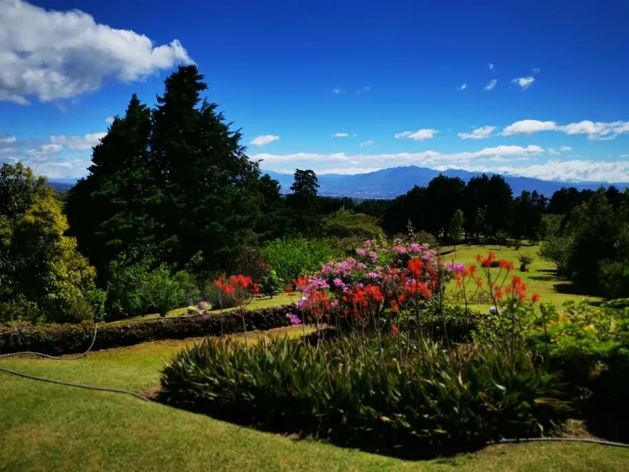 HERMOSA FINCA EN VENTA EN SABANA REDONDA DE POAS - ALAJUELA
