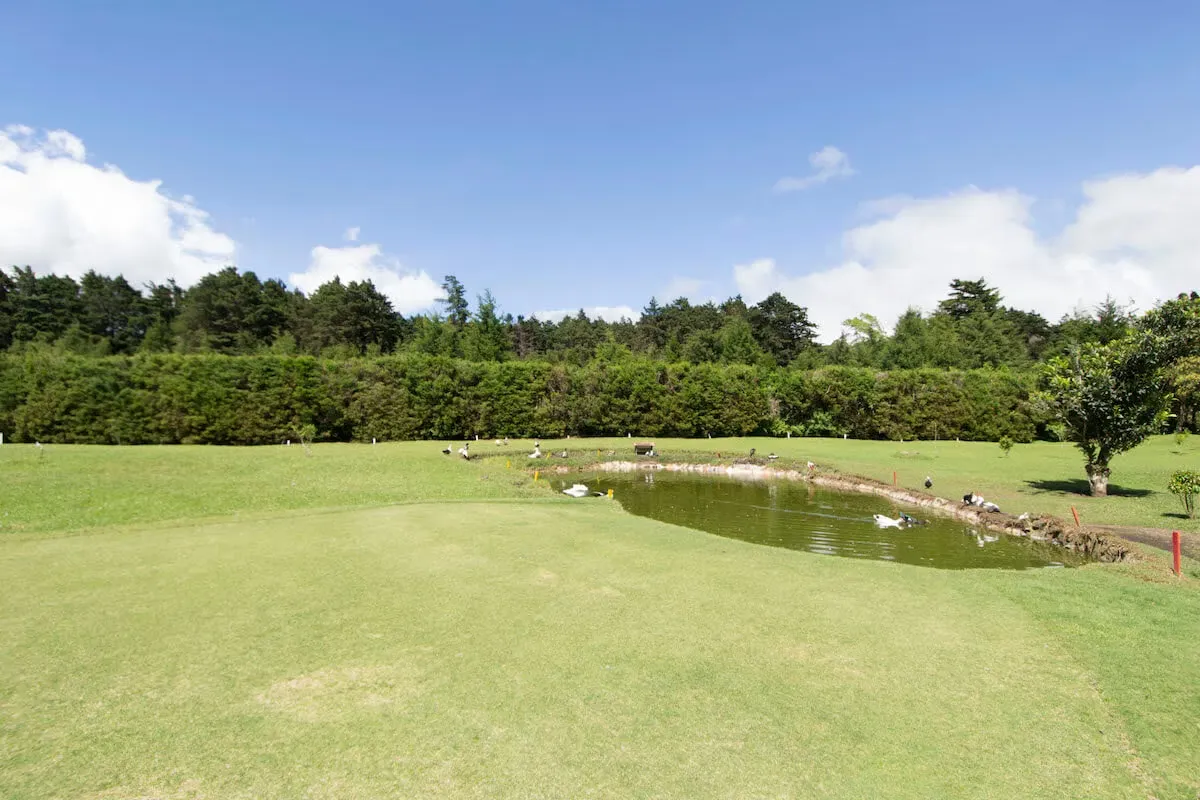 Beautiful property in Heredia for SALE with golf course (AD) — photo 5
