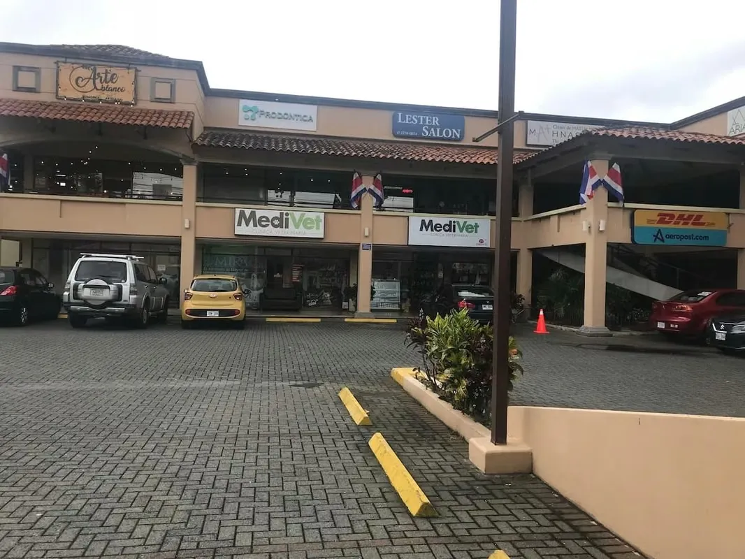 Premise space for rent in Comercial Center, Tres Ríos (AD) — photo 4