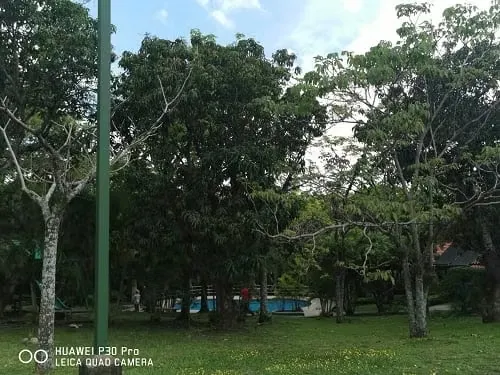 LOT OPPORTUNITY IN CONDOMINIUM surrounded by nature Santa Ana