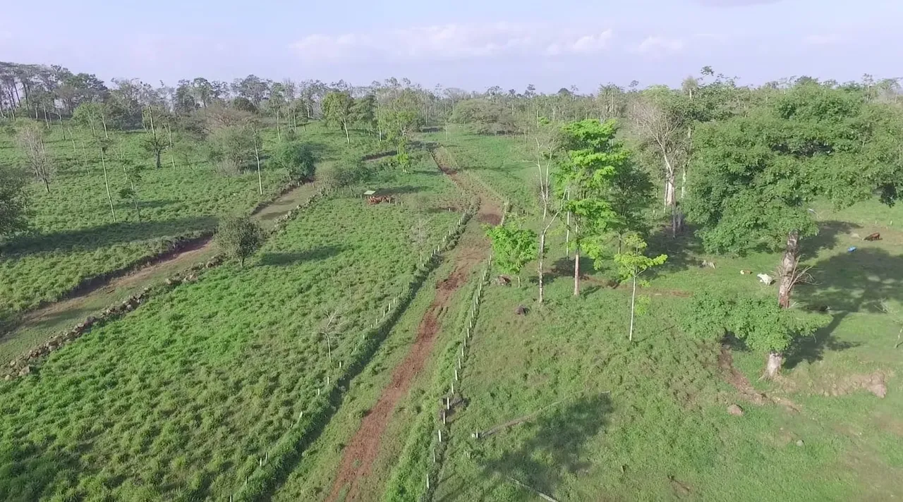 Se vende finca ganadera en la zona de Bijagua, Guanacaste (AD)