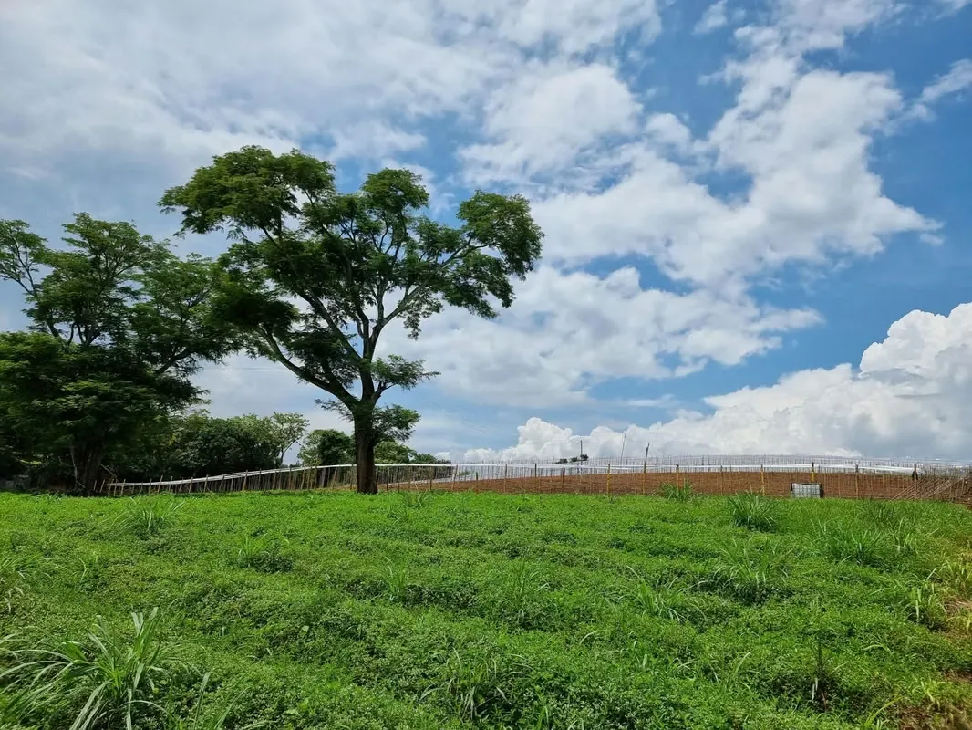 TERRENO EN VENTA 8,4 HA EN DULCE NOMBRE DE LA GARITA DE ALAJUELA