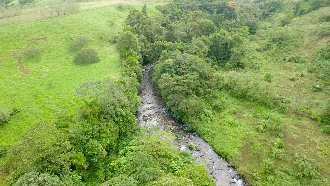 Se vende finca en San Ramón Alajuela (FE)