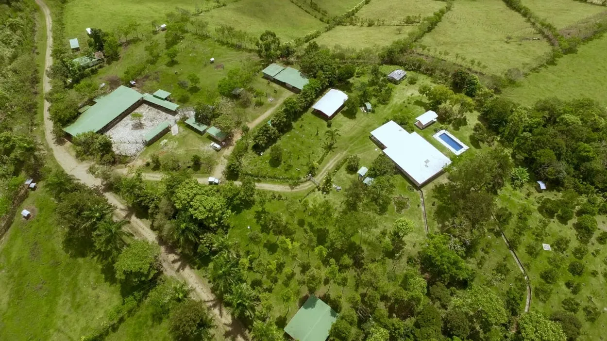 Venta Finca Puntarenas San Vito Coto Brus
