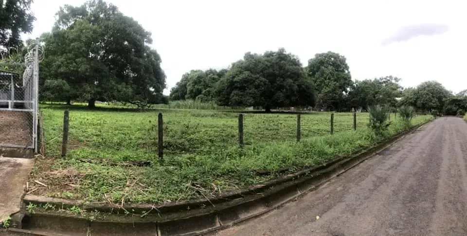 Building land: commercial, residential, etc.